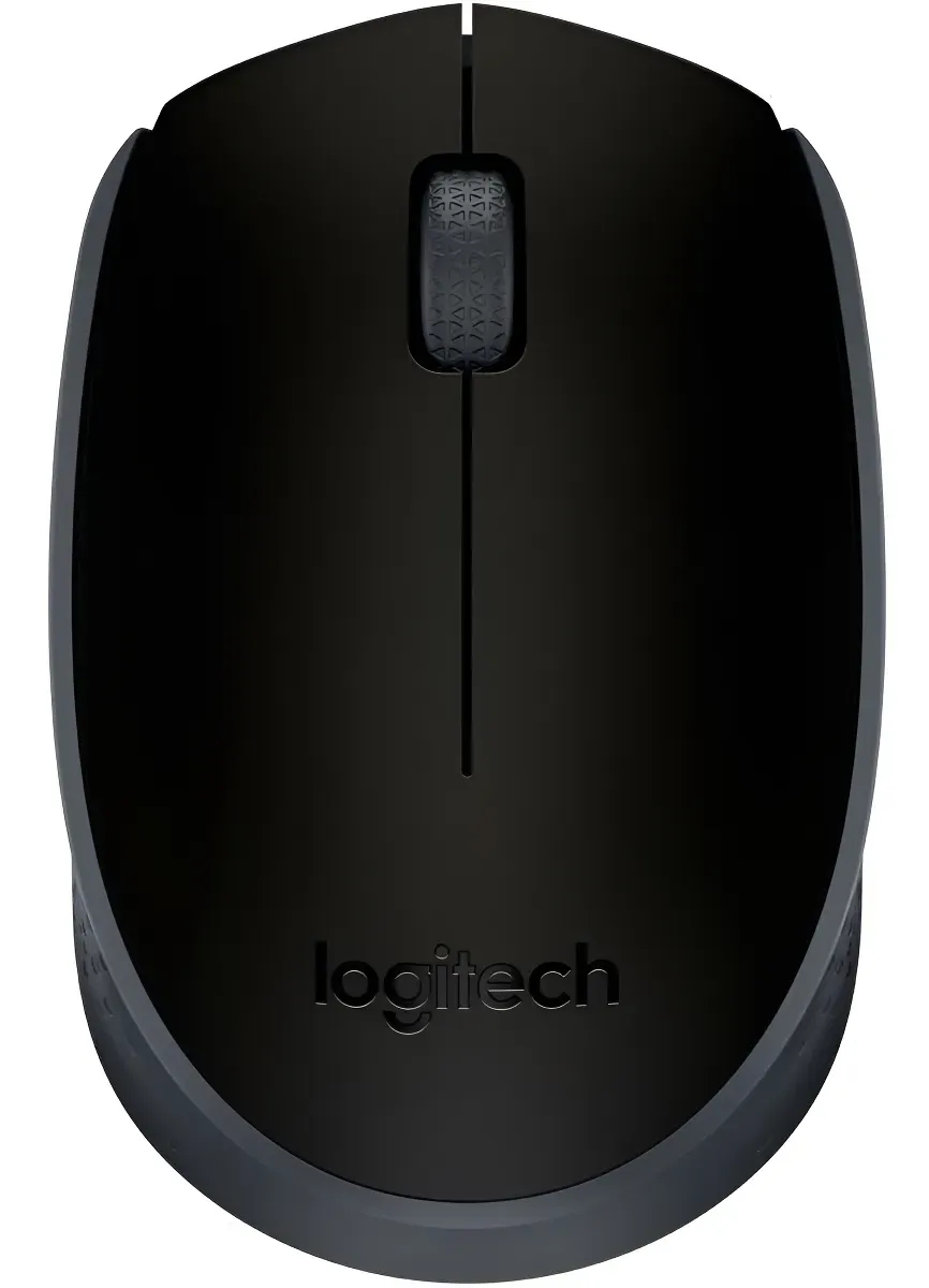 Logitech M170